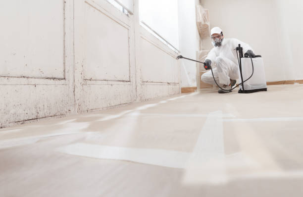 24/7 Emergency Attic Mold Remediation experts in Butler, GA