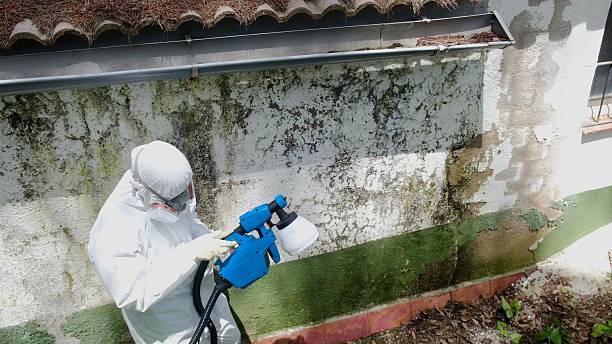 Top rated local Attic Mold Remediation specialists in Butler, GA
